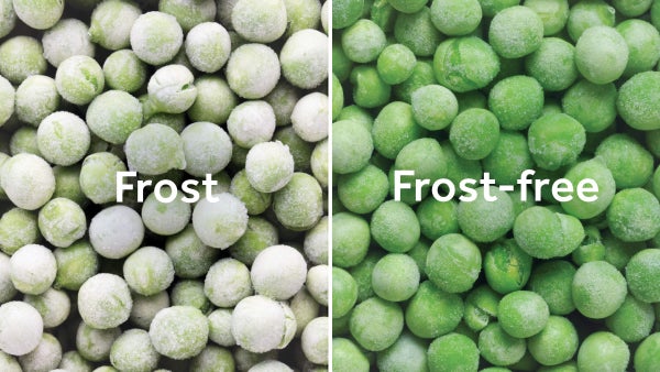 Frost-free freezer