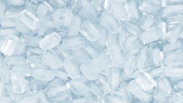Ice maker
