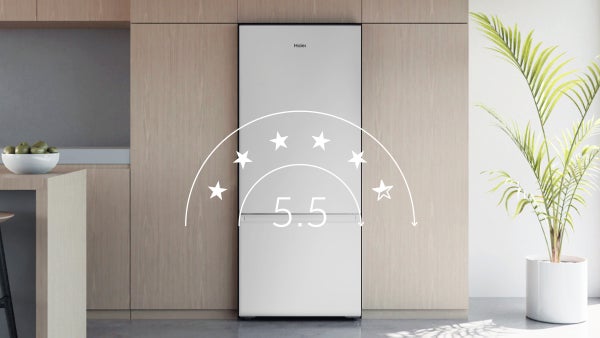 Energy Savvy
