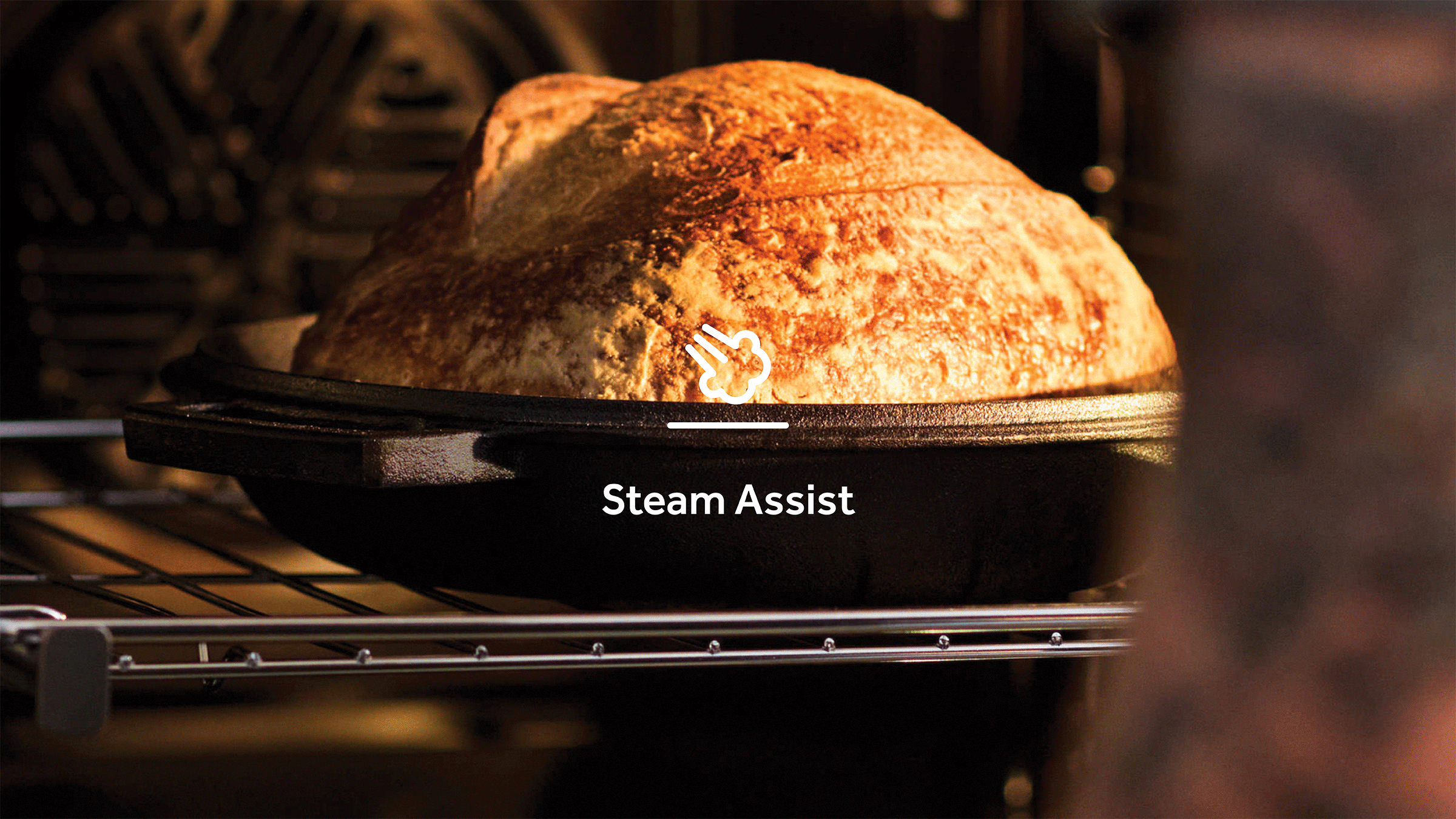 Steam assisted cooking and cleaning