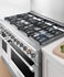 48" Series 9 Professional 8 Burner Dual Fuel Range, LPG gallery image 4.0